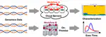 Reproducible Performance Benchmarking for Genomics Workflows on HPC Cluster